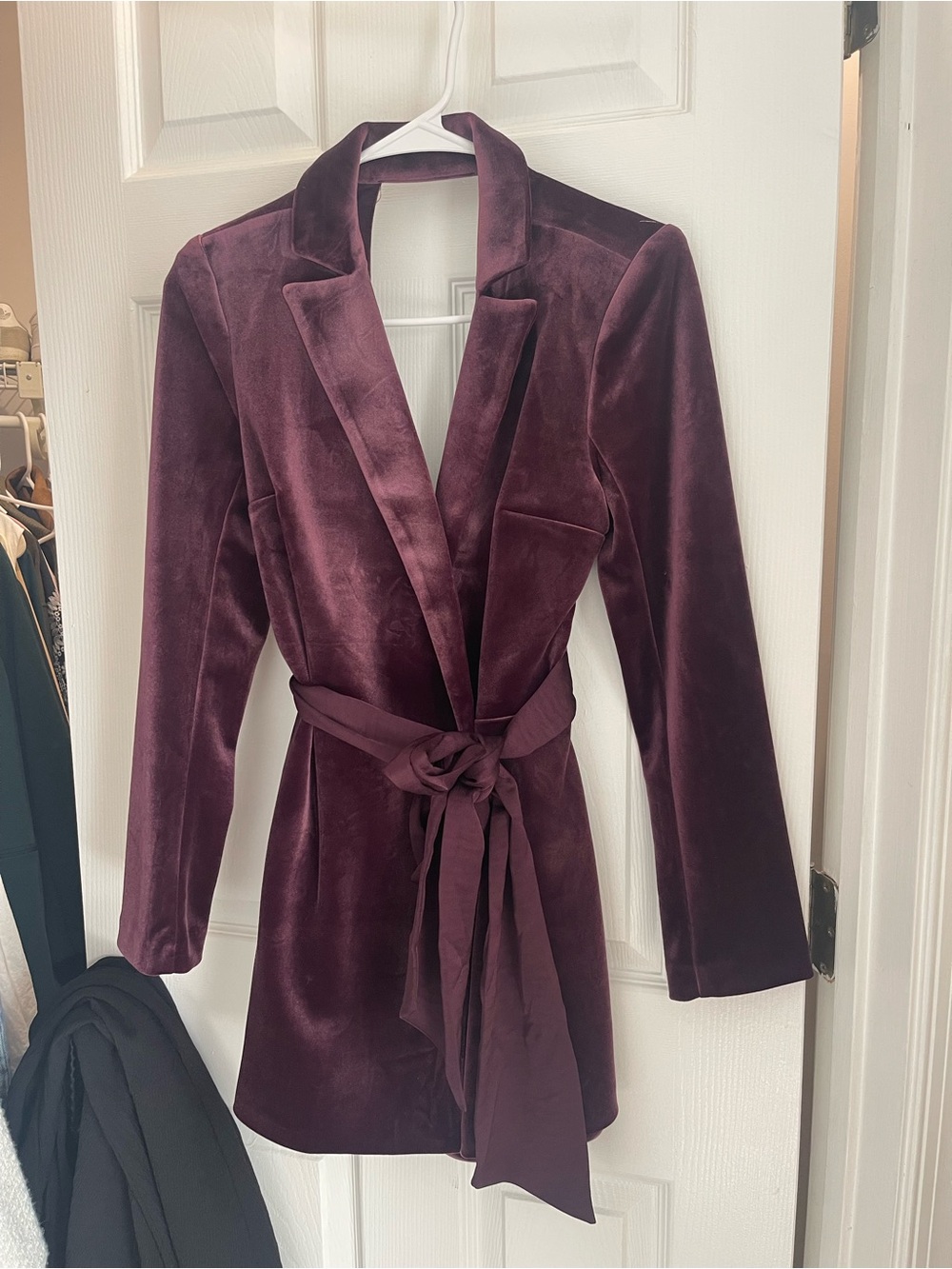 Express Velvet Dress in Plum